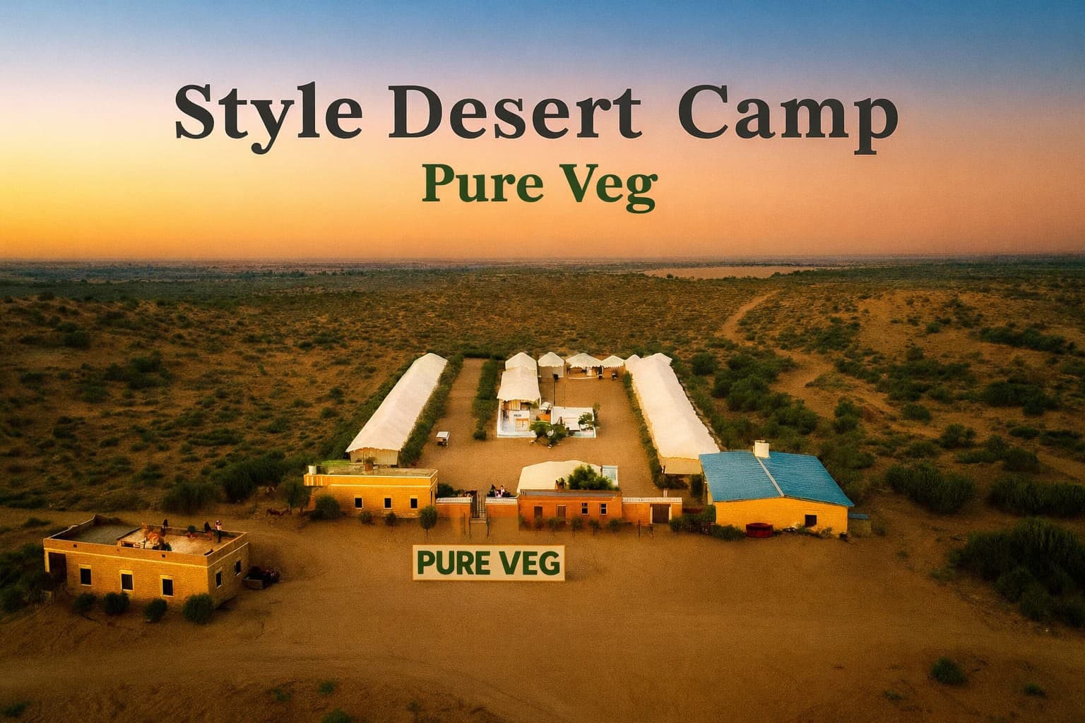 Golden Camel Safari